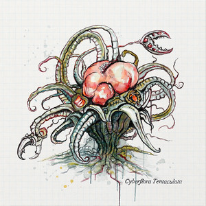 Cyberflora Tentaculata – Városi Gabriella