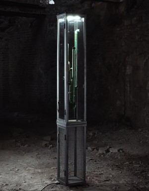 New Fossil – Éles Lóránt