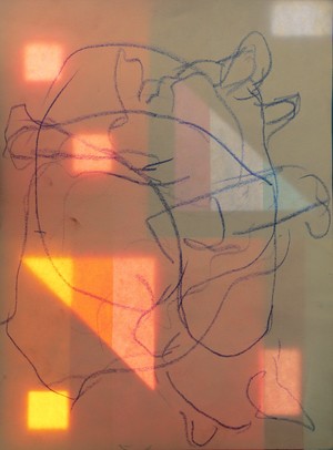 The quarter of a moment, Tisztálkodó macska – Szilágyi Júlia