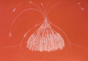 Vulkán – Gallai Judit Ágnes
