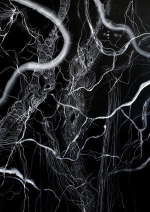 Sea Roots – Seregi Fanni