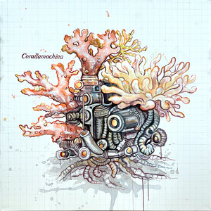 Corallamachina – Városi Gabriella