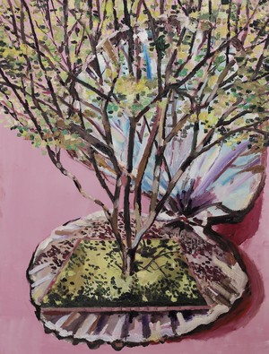 Tree in shell – Horgas Karina