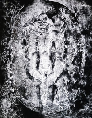 ÓZON II – Beyer Bori