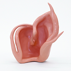 Exoformália VIII.