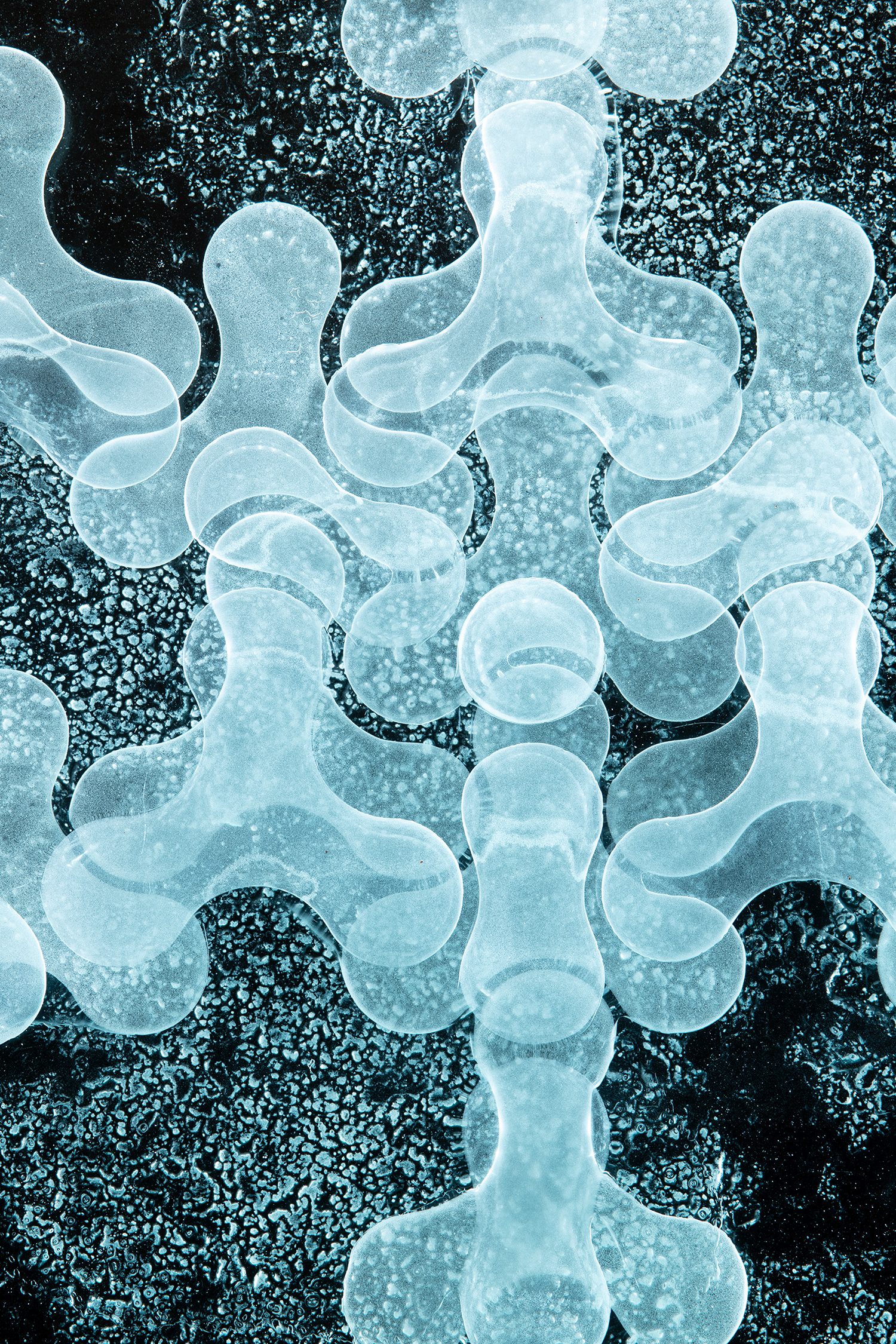 TRANSFUSE LIQUID II. – Szilágyi Csilla
