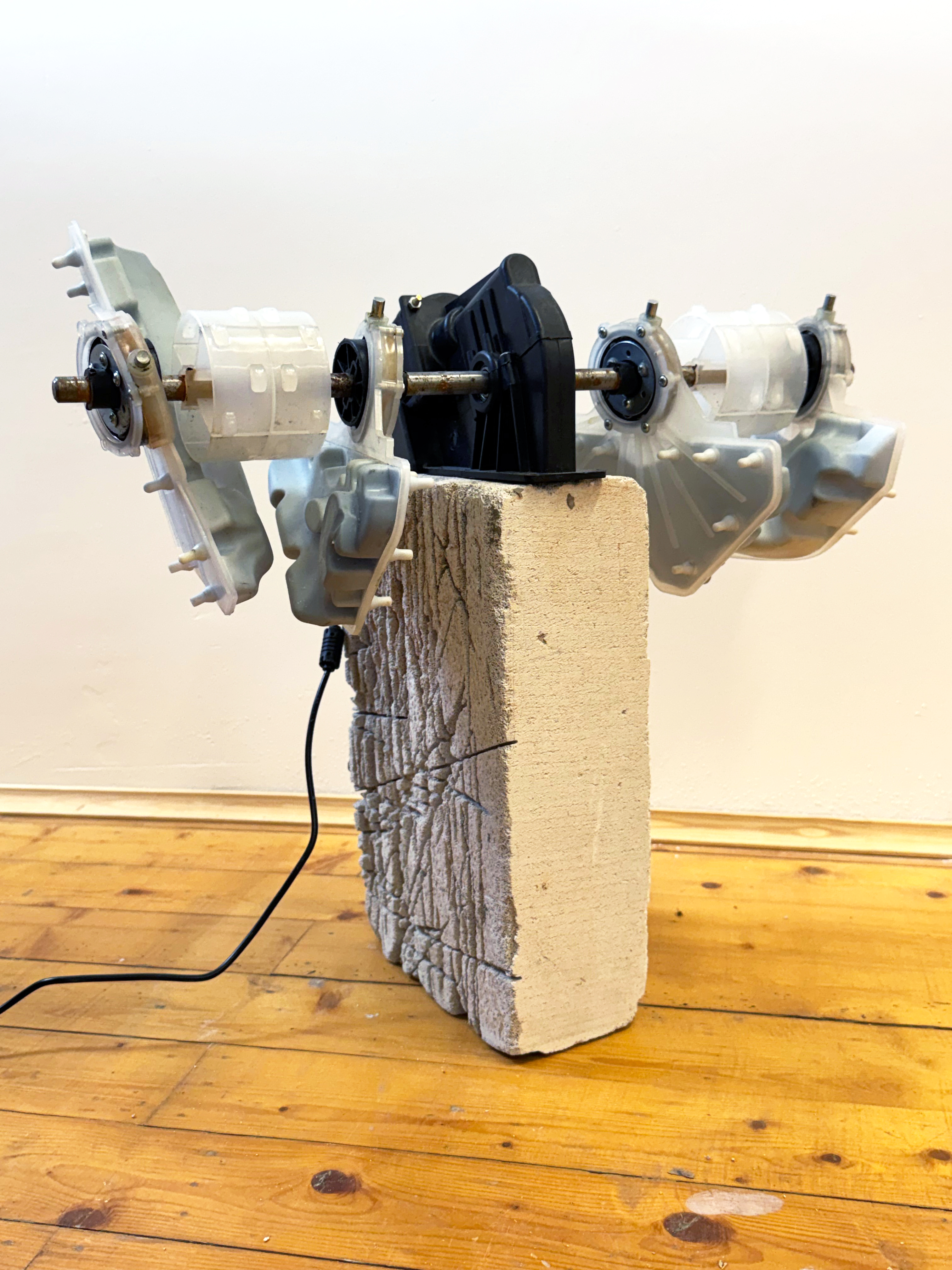 Synthetic Metabolism – Városi Gabriella