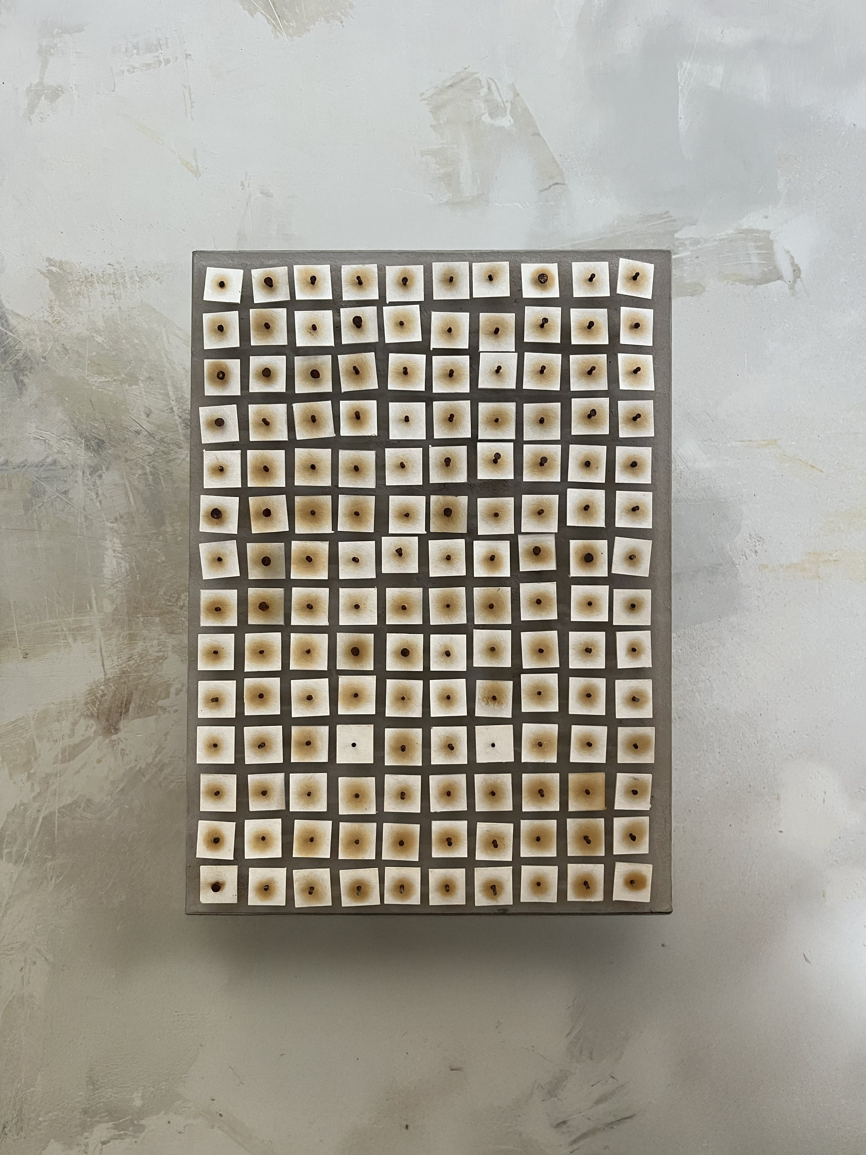 Rusty Matrix – Badics Dóri