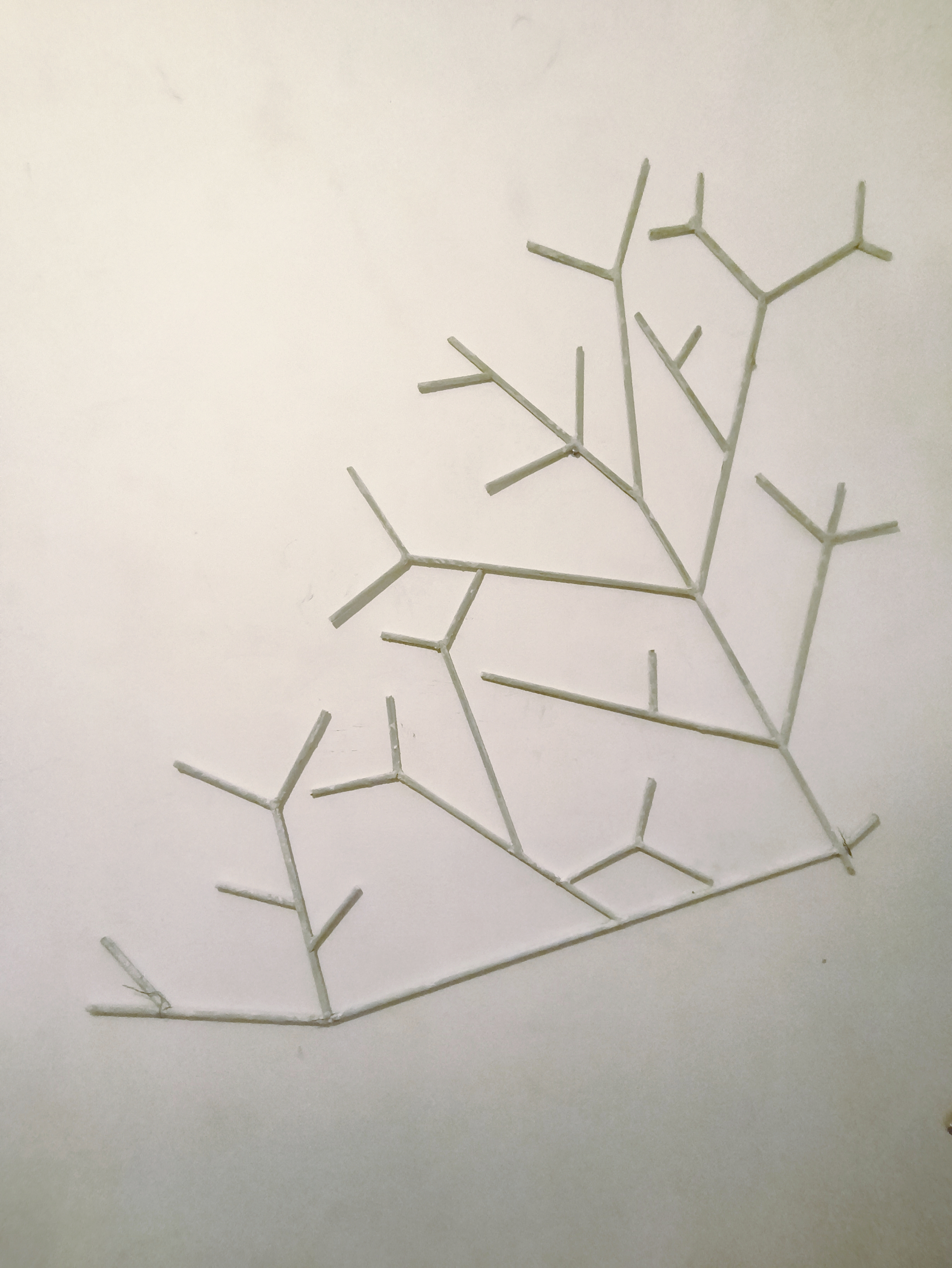 Reef II. – DRA