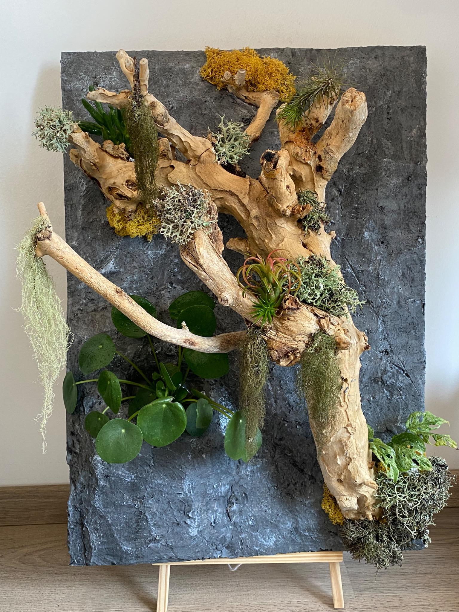 Nature’s Sculpture – gergyebence